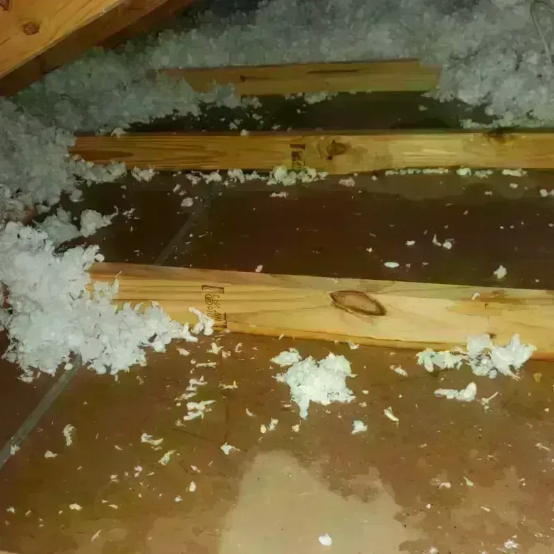 Attic Water Damage in Fort Meade, FL