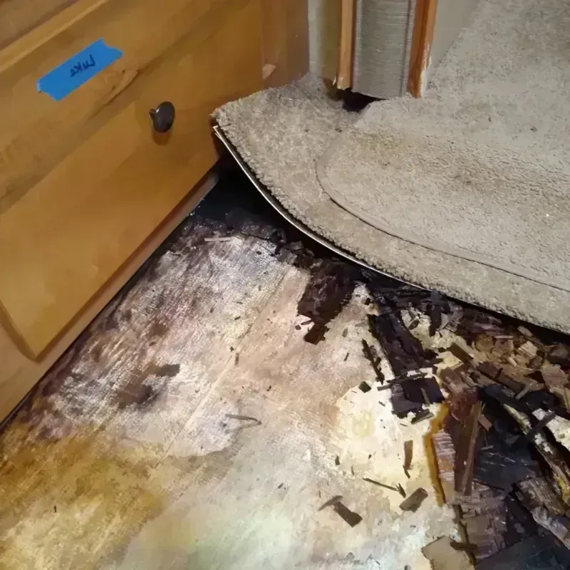 Best Wood Floor Water Damage Service in Fort Meade, FL